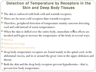 Detection of Temperature by Receptors in the
Skin and Deep Body Tissues
The skin is endowed with both cold and warmth receptors.
There are far more cold receptors than warmth receptors.
Therefore, peripheral detection of temperature mainly concerns detecting
cool and cold instead of warm temperatures.
When the skin is chilled over the entire body, immediate re ex effects areﬂ
invoked and begin to increase the temperature of the body in several ways:
 Shivering
 Inhibition of sweating
 Promoting skin vasoconstriction
Deep body temperature receptors are found mainly in the spinal cord, in the
abdominal viscera, and in or around the great veins in the upper abdomen and
thorax.
Both the skin and the deep body receptors prevent hypothermia—that is,
prevent low body temperature.
 