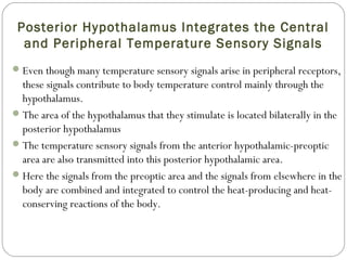 Posterior Hypothalamus Integrates the Central
and Peripheral Temperature Sensory Signals
Even though many temperature sensory signals arise in peripheral receptors,
these signals contribute to body temperature control mainly through the
hypothalamus.
The area of the hypothalamus that they stimulate is located bilaterally in the
posterior hypothalamus
The temperature sensory signals from the anterior hypothalamic-preoptic
area are also transmitted into this posterior hypothalamic area.
Here the signals from the preoptic area and the signals from elsewhere in the
body are combined and integrated to control the heat-producing and heat-
conserving reactions of the body.
 