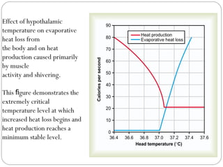 Effect of hypothalamic
temperature on evaporative
heat loss from
the body and on heat
production caused primarily
by muscle
activity and shivering.
This gure demonstrates theﬁ
extremely critical
temperature level at which
increased heat loss begins and
heat production reaches a
minimum stable level.
 