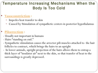 Temperature Increasing Mechanisms When the
Body Is Too Cold
• Vasoconstriction :
- Impedes heat transfer to skin
- Caused by Stimulation of sympathetic centers in posterior hypothalamus
• Piloerection :
- Usually not important in humans
- Hairs “standing on end.”
- Sympathetic stimulation causes the arrector pili muscles attached to the hair
follicles to contract, which brings the hairs to an upright
- In lower animals, upright projection of the hairs allows them to entrap a
thick layer of “insulator air” next to the skin, so that transfer of heat to the
surroundings is greatly depressed.
 