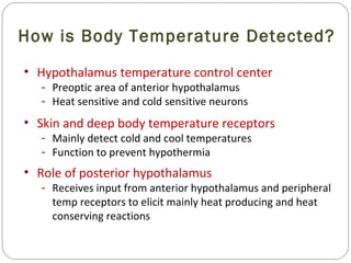 How is Body Temperature Detected?
• Hypothalamus temperature control center
- Preoptic area of anterior hypothalamus
- Heat sensitive and cold sensitive neurons
• Skin and deep body temperature receptors
- Mainly detect cold and cool temperatures
- Function to prevent hypothermia
• Role of posterior hypothalamus
- Receives input from anterior hypothalamus and peripheral
temp receptors to elicit mainly heat producing and heat
conserving reactions
 