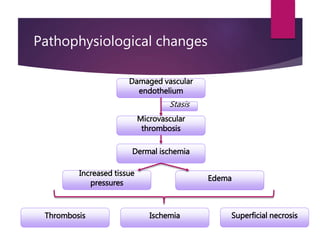 Pathophysiological changes
Damaged vascular
endothelium
Microvascular
thrombosis
Stasis
Dermal ischemia
Increased tissue
pressures
Edema
Superficial necrosisIschemiaThrombosis
 