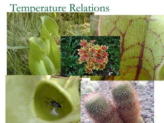 1
1
Temperature Relations
Chapter 4
 