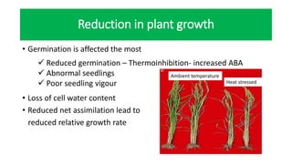 Reduction in plant growth
• Germination is affected the most
• Loss of cell water content
• Reduced net assimilation lead to
reduced relative growth rate
 Reduced germination – Thermoinhibition- increased ABA
 Abnormal seedlings
 Poor seedling vigour
Ambient temperature
Heat stressed
 