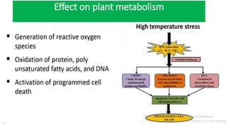 Effect on plant metabolism
 