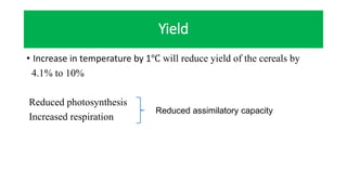 Yield
• Increase in temperature by 1℃ will reduce yield of the cereals by
4.1% to 10%
Reduced photosynthesis
Increased respiration
Reduced assimilatory capacity
 
