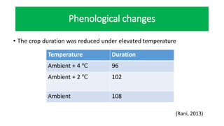 Phenological changes
• The crop duration was reduced under elevated temperature
(Rani, 2013)
Temperature Duration
Ambient + 4 ℃ 96
Ambient + 2 ℃ 102
Ambient 108
 