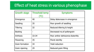 Effect of heat stress in various phenophase
Growth stage Threshold temp
(0C)
Symptoms
Emergence 40 Delay &decrease in emergence
Seedling 35 Poor growth of seedling
Tillering 32 Reduced tillering & height
Booting - Decreased no.of pollengrain
Anthesis 33-34 Poor anther dehiscence &sterility
Flowering 35 Floret sterility
Grain formation 34 Yield reduction
Grain ripening 29 Reduced grain filling
 