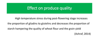 Effect on produce quality
High temperature stress during post-ﬂowering stage increases
the proportion of gliadins to glutelins and decreases the proportion of
starch hampering the quality of wheat ﬂour and the grain yield
(Ashraf, 2014)
 