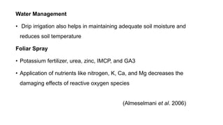 Water Management
• Drip irrigation also helps in maintaining adequate soil moisture and
reduces soil temperature
Foliar Spray
• Potassium fertilizer, urea, zinc, IMCP, and GA3
• Application of nutrients like nitrogen, K, Ca, and Mg decreases the
damaging effects of reactive oxygen species
(Almeselmani et al. 2006)
 