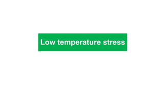 Low temperature stress
 