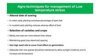 • Altered date of sowing
• In cotton early planting increases percentage of open ball
• In mustard early planting reduces adverse effect of frost
• Selection of varieties and crops
• Barley and oats are more tolerant than wheat
• Maintaining good crop stand and spacing
• Use high seed rate to cover frost effect on germination
• Adequate inter row spaces should be maintained to allow sunlight incidence and to
increase soil temperature
Agro-techniques for management of Low
temperature stress
 