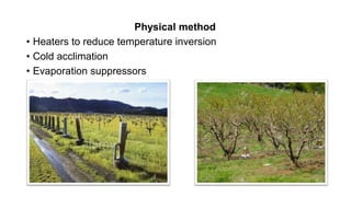 Physical method
• Heaters to reduce temperature inversion
• Cold acclimation
• Evaporation suppressors
 