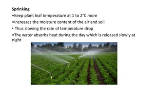 Sprinking
•Keep plant leaf temperature at 1 to 2°C more
•Increases the moisture content of the air and soil
• Thus slowing the rate of temperature drop
•The water absorbs heat during the day which is released slowly at
night
 