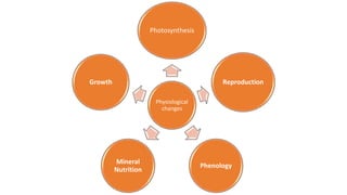 Physiological
changes
Photosynthesis
Reproduction
Phenology
Mineral
Nutrition
Growth
 