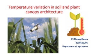 Temperature variation in soil and plant
canopy architecture
P. Dhamodharan
2019502205
Department of agronomy
 