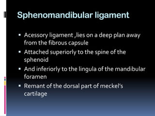 Sphenomandibular ligament
 Acessory ligament ,lies on a deep plan away
from the fibrous capsule
 Attached superiorly to the spine of the
sphenoid
 And inferiorly to the lingula of the mandibular
foramen
 Remant of the dorsal part of meckel’s
cartilage
 