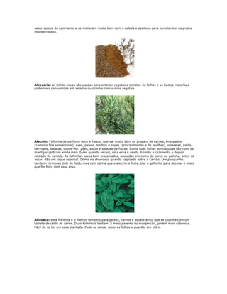 sabor depois do cozimento e se misturam muito bem com a cebola e azeitona para caracterizar os pratos
mediterrâneos.




Alcavaria: as folhas novas são usadas para enfeitar vegetaias cozidos. As folhas e as hastes mais lisas
podem ser consumidas em saladas ou cozidas com outros vegetais.




Alecrim: Folhinha de perfume doce e fresco, que vai muito bem no preparo de carnes, ensopados
(carneiro fica sensacional), aves, peixes, molhos e sopas (principalmente a de ervilhas), omeletes, patês,
beringela, batatas, couve-flor, pães, sucos e saladas de frutas. Como suas folhas pontiagudas são ruim de
mastigar (e ficam ainda mais duras quando secas), esta erva é usada durante o cozimento e depois
retirada da comida. As folhinhas secas bem masseradas, passadas em carne de porco ou galinha, antes de
assar, dão um toque especial. Ótimo no churrasco quando salpicado sobre o carvão. Um pouquinho
também no nosso bolo de fubá, mas com calma que o alecrim e forte. Use o galhinho para decorar o prato
que for feito com essa erva.




Alfavaca: esta folhinha e o melhor tempero para peixes, carnes e aquele arroz que se cozinha com um
tablete de caldo de carne. Duas folhinhas bastam. É meio parente do manjericão, porém mais saborosa.
Fácil de se ter em casa plantada. Pode-se deixar secar as folhas e guardar em vidro.
 