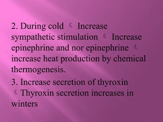 2. During cold  Increase
sympathetic stimulation  Increase
epinephrine and nor epinephrine 
increase heat production by chemical
thermogenesis.
3. Increase secretion of thyroxin
Thyroxin secretion increases in
winters
 