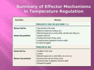 Summary of Effector Mechanisms
in Temperature Regulation
 