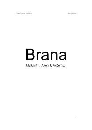 Elbio Aparisi Nielsen                      Tempestad




            Brana
             Malla nº 1 Axón 1, Axón 1a.




                                                   3
 