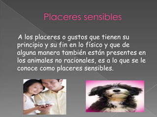 A los placeres o gustos que tienen su
principio y su fin en lo físico y que de
alguna manera también están presentes en
los animales no racionales, es a lo que se le
conoce como placeres sensibles.
 