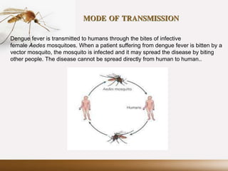 MODE OF TRANSMISSION
Dengue fever is transmitted to humans through the bites of infective
female Aedes mosquitoes. When a patient suffering from dengue fever is bitten by a
vector mosquito, the mosquito is infected and it may spread the disease by biting
other people. The disease cannot be spread directly from human to human..
 