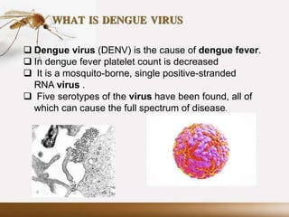 WHAT IS DENGUE VIRUS
 Dengue virus (DENV) is the cause of dengue fever.
 In dengue fever platelet count is decreased
 It is a mosquito-borne, single positive-stranded
RNA virus .
 Five serotypes of the virus have been found, all of
which can cause the full spectrum of disease.
 