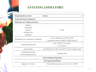 15
ANTI-INFLAMMATORY
 