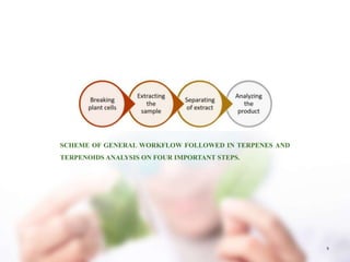 6
SCHEME OF GENERAL WORKFLOW FOLLOWED IN TERPENES AND
TERPENOIDS ANALYSIS ON FOUR IMPORTANT STEPS.
 
