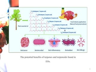 9
The potential benefits of terpenes and terpenoids found in
EOs.
 