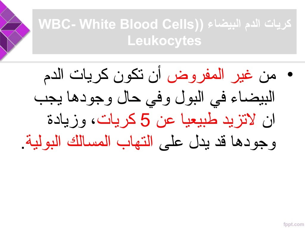 Urine test and Interpretation in Arabic تحليل البول