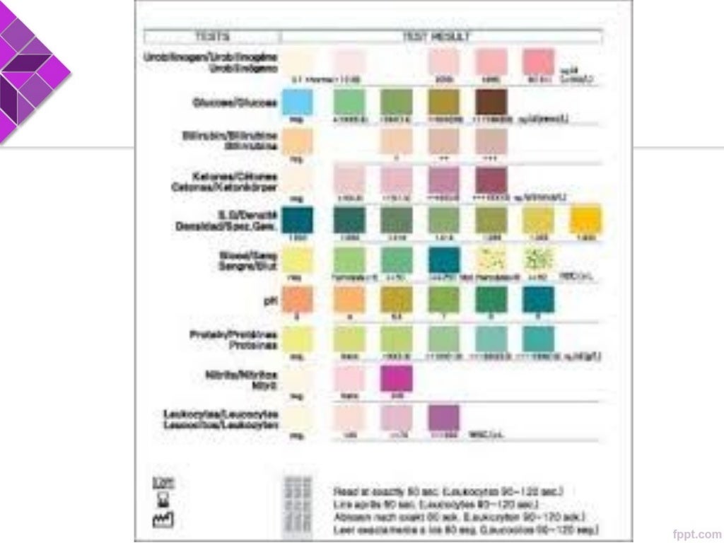 Urine test and Interpretation in Arabic تحليل البول