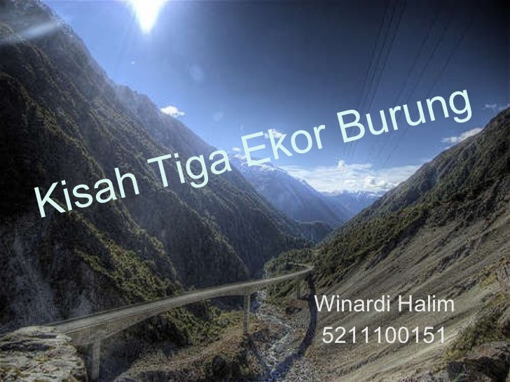 Kisah tiga ekor burung