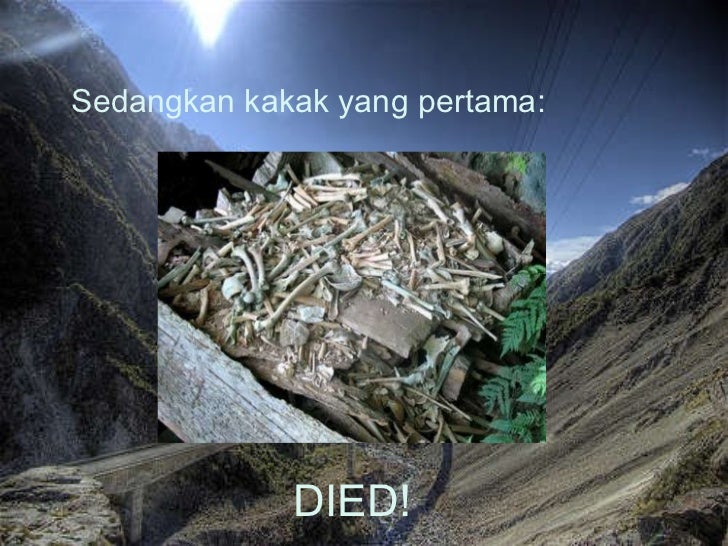 Kisah tiga ekor burung