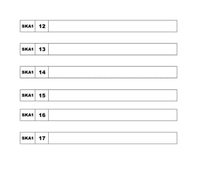 SKA1 12
SKA1 13
SKA1 14
SKA1 15
SKA1 16
SKA1 17
 