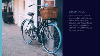 LO R E M I P S U M
Lorem ipsum dolor sit amet,
commodo lacinia dignissim vel
sed, ut vestibulum augue
phasellus eros. Parturient eros
at in diam non eleifend, ac
vitae non non vestibulum justo.
Venenatis porta mit.
 