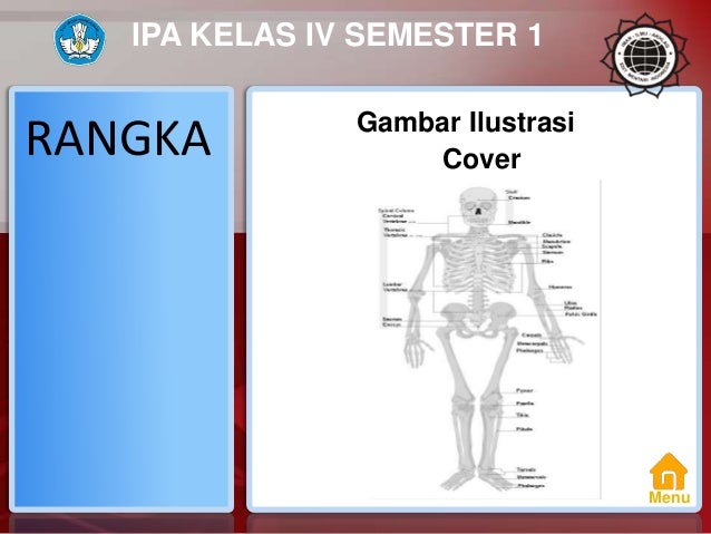 Materi Rangka Kelas 4 Semester 1