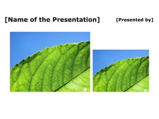 [Presented by] [Name of the Presentation] 