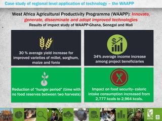 West Africa Agricultural Productivity Programme (WAAPP): Innovate,
generate, disseminate and adopt improved technologies
Results of impact study of WAAPP-Ghana, Senegal and Mali
Case study of regional level application of technology – the WAAPP
30 % average yield increase for
improved varieties of millet, sorghum,
maize and fonio
Reduction of “hunger period” (time with
no food reserves between two harvests)
34% average income increase
among project beneficiaries
Impact on food security- caloric
intake consumption increased from
2,777 kcals to 2,964 kcals.
 