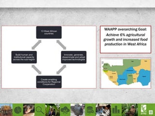 13 West African
countries
Innovate, generate,
disseminate and adopt
improved technologies
Create enabling
conditions for Regional
Cooperation
Build human and
institutional capacity
across the sub-region
WAAPP overarching Goal:
Achieve 6% agricultural
growth and increased food
production in West Africa
 