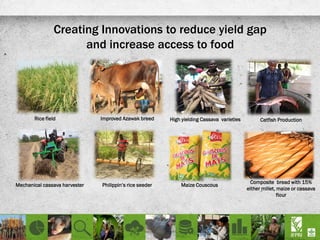 Creating Innovations to reduce yield gap
and increase access to food
Catfish ProductionHigh yielding Cassava varietiesRice field
Mechanical cassava harvester Philippin’s rice seeder
Improved Azawak breed
Maize Couscous
Composite bread with 15%
either millet, maize or cassava
flour
 