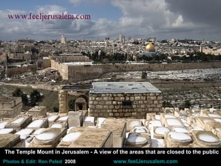 The Temple Mount in Jerusalem - A view of the areas that are closed to the public Photos   & Edit: Ron  Peled    2008     www.feelJerusalem.com 