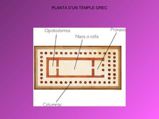 PLANTA D’UN TEMPLE GREC