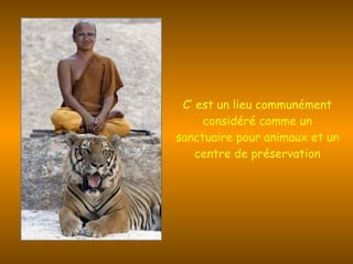 C’ est un lieu communément   considéré comme un sanctuaire pour animaux et un centre de préservation 