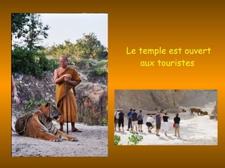 Le temple est ouvert aux touristes  