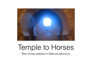 Temple to Horses
 War horse stables in Meknes,Morroco
 