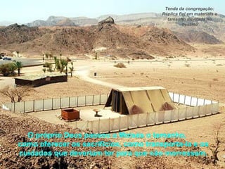 O próprio Deus passou a Moisés o tamanho,
como oferecer os sacrifícios, como transporta-la e os
cuidados que deveriam ter para que não morressem.
Tenda da congregação:
Réplica fiel em materiais e
tamanho montada no
deserto
 