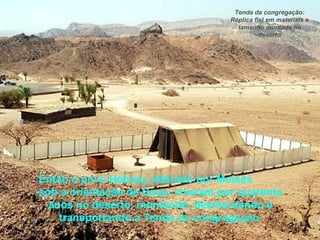Então o povo Hebreu, liderado por Moisés
sob a orientação de Deus, viveram por quarenta
anos no deserto, montando, desmontando e
transportando a Tenda da congregação.
Tenda da congregação:
Réplica fiel em materiais e
tamanho montada no
deserto
 