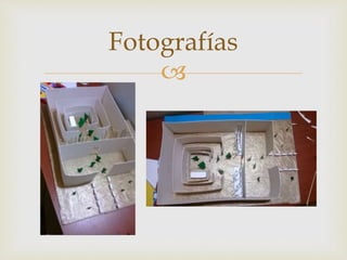 
Fotografías
 